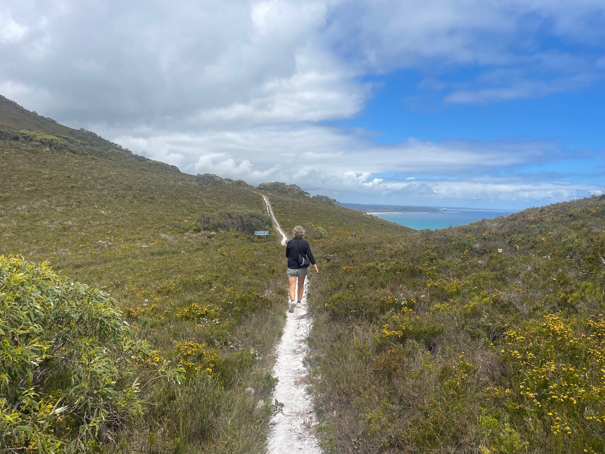 Worth the Puff: Tinkers Point Walk at Rocky Cape